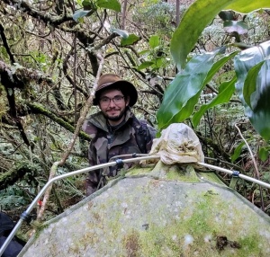 Biological integrity of azorean native forests is better measured in cold season