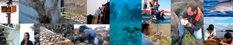 Island Biodiversity, Biogeography & Conservation - IBBC