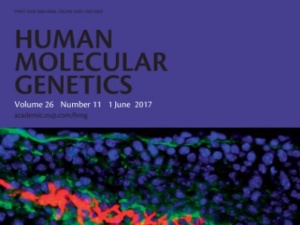 Trabalho de investigadores cE3c faz capa da revista científica Human Molecular Genetics