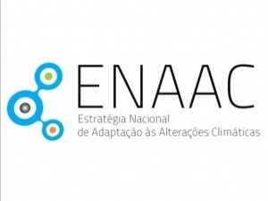 Investigadores cE3c entre os membros do recém-nomeado Painel Científico da ENAAC 2020