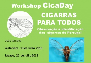 Workshop “CicaDay – Cigarras para todos - Observação e Identificação das cigarras de Portugal” | 19-20 julho, FCUL