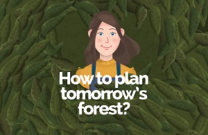 How to plan tomorrow’s forest? New animated film to celebrate the International Day of Forests