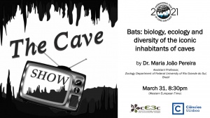 Seminar ‘Bats: biology, ecology and diversity of the iconic inhabitants of caves’: March 31, 8:30pm (WET), online