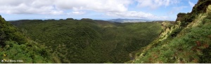 Mancha florestal Açores