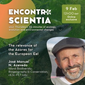 The relevance of the Azores for the European Eel
