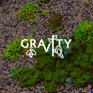 Logo Projeto GRAVITY