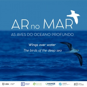 Exposição “Ar no Mar - As aves do oceano profundo” na Faculdade de Ciências ULisboa